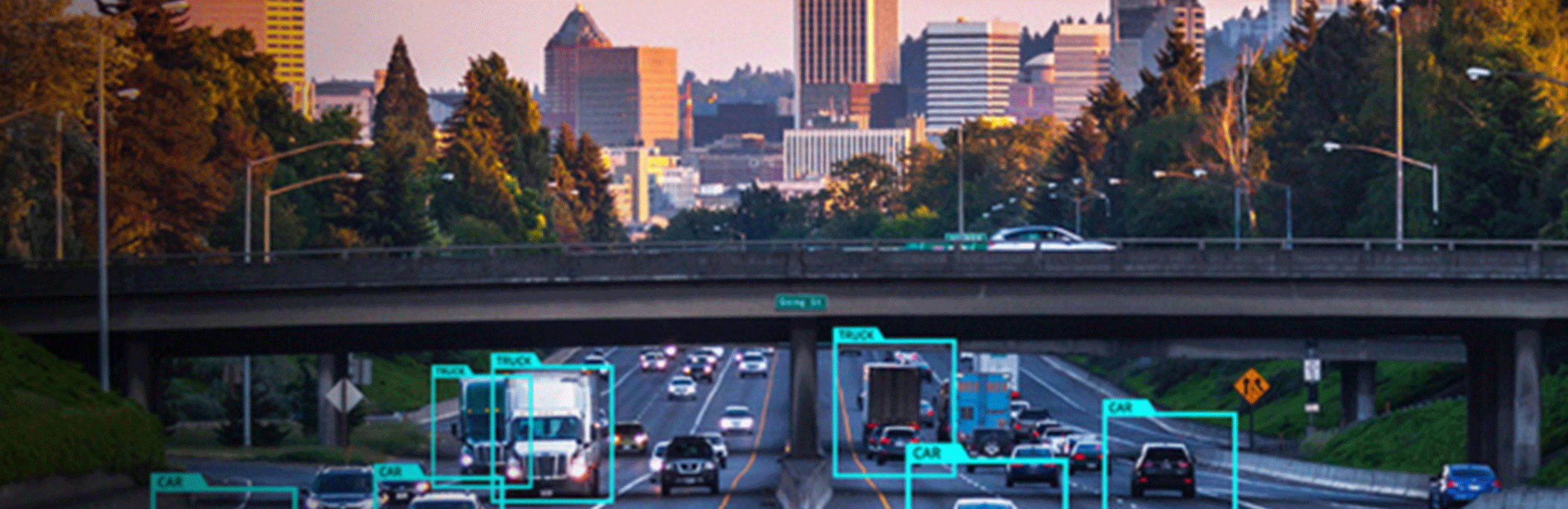 Data Annotation Services